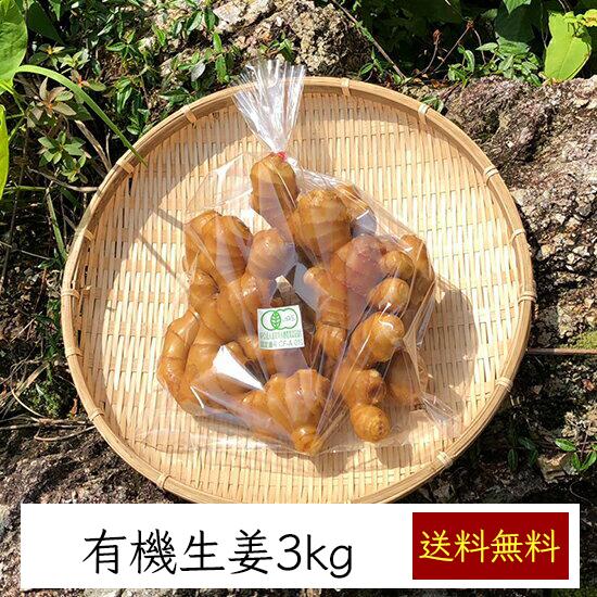 【送料無料 産地直送 NHK世界はほしいモノにあふれてるに登場しました】 高知県 土佐山 有機JAS...