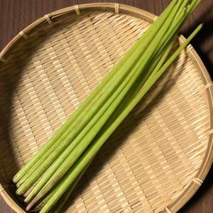 山菜 ミズの食べ方の商品一覧 通販 Yahoo ショッピング