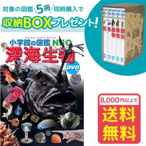 小学館の図鑑NEO　深海生物　DVDつき（収納BOX付・送料無料・条件有）｜ゆめたまご Yahoo!ショッピング店