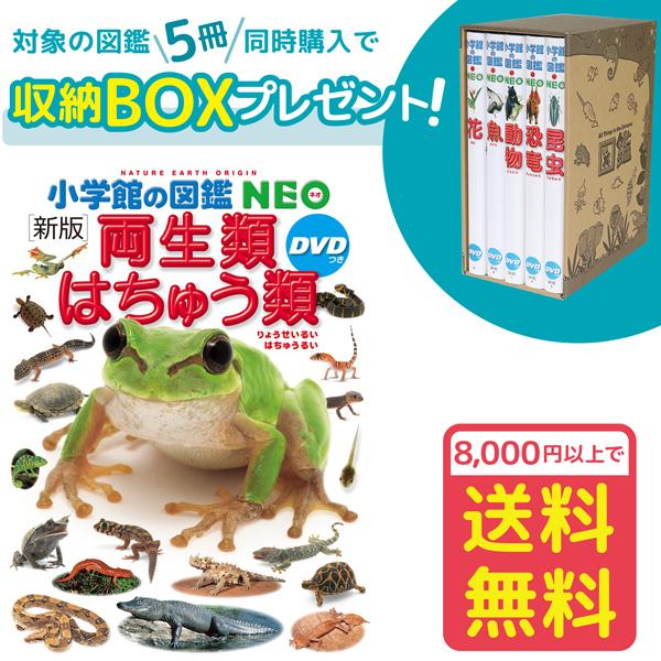 小学館の図鑑NEO［新版］両生類・はちゅう類　DVDつき（収納BOX付・送料無料・条件有）
