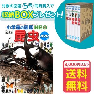 【おまけ付】小学館の図鑑NEO［新版］昆虫　DVDつき（収納BOX付・送料無料・条件有）｜yumetamago