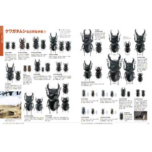 小学館の図鑑NEO[新版]昆虫 DVDつき(収...の詳細画像5