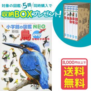 小学館の図鑑NEO［新版］鳥　DVDつき（収納BOX付・送料無料・条件有）