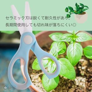 園芸 はさみ セラミック 剪定ハサミ セラミッ...の詳細画像5