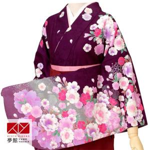 卒業式 袴 セット レンタル 大学 大人 レディース anan紫八重桜蝶々ラメ 女の子 二尺袖 貸衣装 往復送料無料