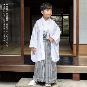 羽織袴 レンタル 男子 小学生 白紋付×縞袴 ジュニア 卒業式 男の子