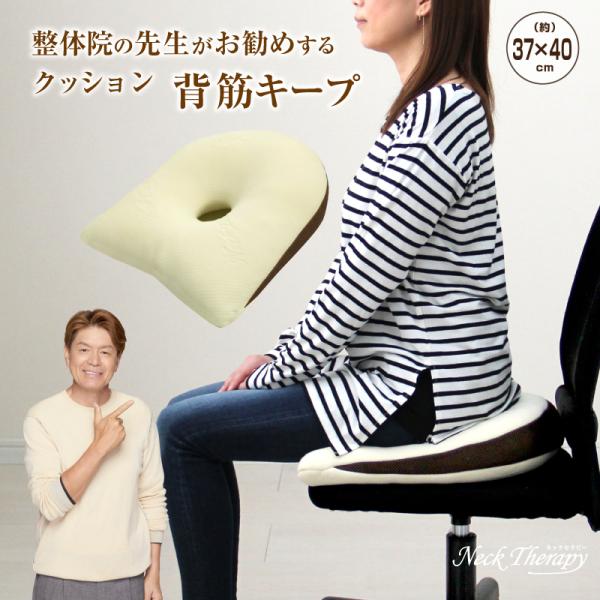 クッション 整体師が勧める 背筋キープ 37×40cm 低反発ウレタンチップ ネックセラピー 背筋が...