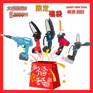 2022福袋 運試し 超お得セット マスク 激安 お得 抽選福袋