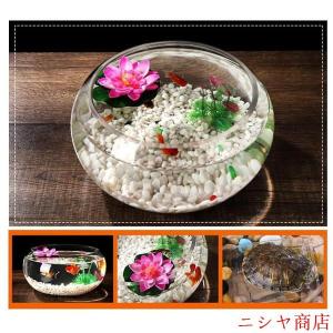 金魚鉢 丸型 25cm ガラス 透明 テーブル...の詳細画像2