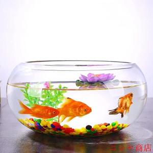 金魚鉢 丸型 25cm ガラス 透明 テーブル...の詳細画像3