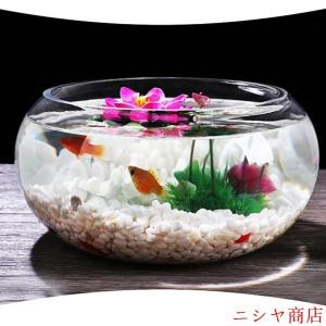 金魚鉢 丸型 25cm ガラス 透明 テーブル...の詳細画像4