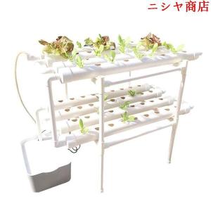 水耕栽培キット 野菜 栽培キット すいこう栽培キット 室内 いちご 家庭菜園 水耕栽培セット プランター 72穴