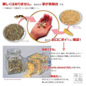＼SALE/<ごまいりこ「極」 単品 230g...の詳細画像3