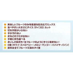 ＼全品ポイント10倍/ドライフルーツ <6種の...の詳細画像2
