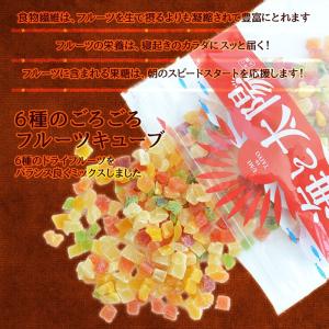 ＼全品ポイント10倍/ドライフルーツ <6種の...の詳細画像5