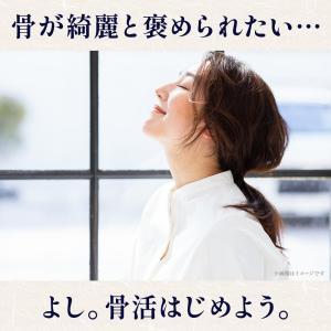 ＼ポイント10倍還元/<3種の骨せんべいミック...の詳細画像1