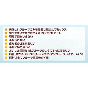 ＼48時間限定プライス/ドライフルーツ <6種...の詳細画像2