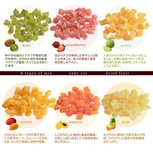 ＼48時間限定プライス/ドライフルーツ <6種...の詳細画像3