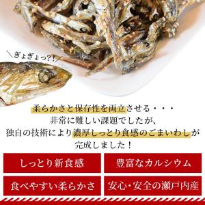<ごま香る濃厚しっとりいわし200g> イワシ...の詳細画像5