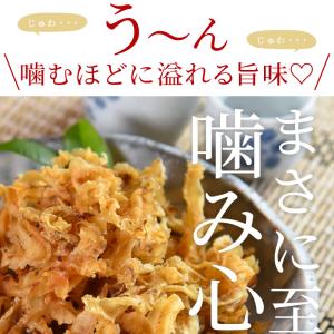 ＼20%OFFクーポン対象/<焼帆立貝ひも 1...の詳細画像1