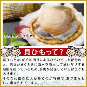 ＼20%OFFクーポン対象/<焼帆立貝ひも 1...の詳細画像4