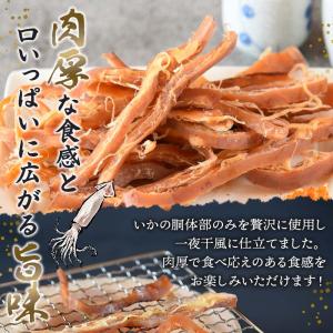 ＼20%OFFクーポン対象/するめ 一夜干し ...の詳細画像1