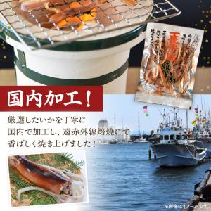 ＼20%OFFクーポン対象/するめ 一夜干し ...の詳細画像2