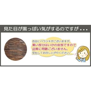 ＼ポイント10倍/定番駄菓子 <旨いかソーメン...の詳細画像5