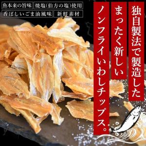 ＼SALE/おやつ カルシウム おつまみ<ノン...の詳細画像1