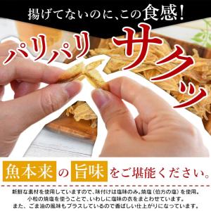 ＼SALE/おやつ カルシウム おつまみ<ノン...の詳細画像3