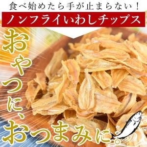 ＼SALE/おやつ カルシウム おつまみ<ノン...の詳細画像5