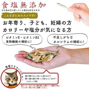 ＼SALE/たっぷり300g <塩無添加食べる...の詳細画像1