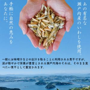 ＼SALE/たっぷり300g <塩無添加食べる...の詳細画像4
