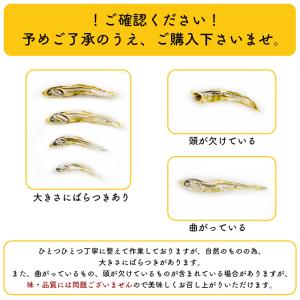 ＼SALE/たっぷり300g <塩無添加食べる...の詳細画像5