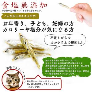 ＼SALE/たっぷり180g <塩無添加食べる...の詳細画像1