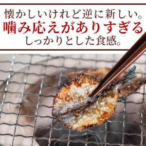 ＼ポイント15倍/<珍味焼あじ 200g> 焼...の詳細画像5