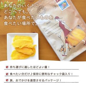 <With ドライソフトマンゴー120g> ド...の詳細画像2