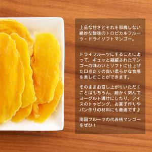 <With ドライソフトマンゴー120g> ド...の詳細画像3