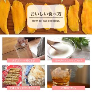 <With ドライソフトマンゴー120g> ド...の詳細画像5