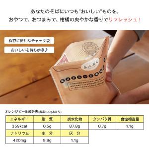 <With ドライオレンジピール バレンシア1...の詳細画像4