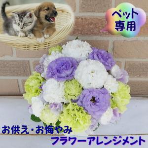 お値下げ！【全通】ネコの周りに花 kajuen.net