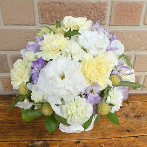 ペット お悔やみ花 お供え お悔やみ 花 犬 ...の詳細画像1