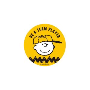 スヌーピー PEANUTS キャラクターステッカー チャーリーブラウン SN1009 スモール プラネット