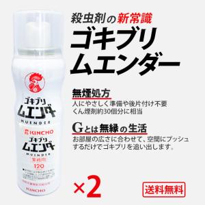 【業務用】ムエンダー 送料無料 120プッシュ ゴキブリ 対策 最強 退治 方法 スプレー 駆除剤 【2本セット】｜yunatec