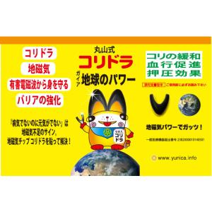 丸山式 コリドラ（2個入 / 6個入）