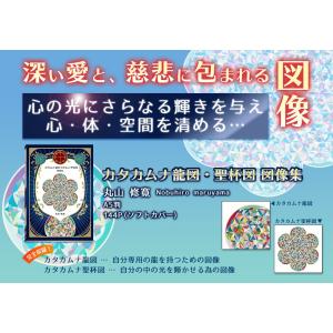 カタカムナ龍図・カタカムナ聖杯図 図像集の詳細画像1