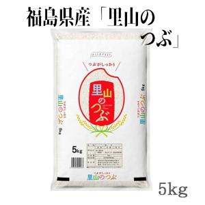 令和7年産新米 福島県産米 天のつぶ 5kg×1袋（箱入り）☆単一原料米