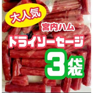 宮内ハム　ドライソーセージ　サラミ　カルパス　無選別　訳あり　お徳用　おつまみ　200g×3袋　山形　プレゼント　クリックポスト　送料無料｜yunokawa