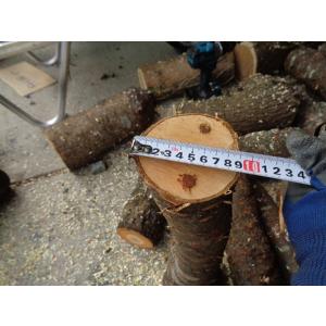 なめこの成る木 ホダ木　原木 山桜 短木 標準サイズ 4本組　 送料ヤマト運輸 Fサイズ