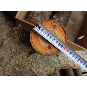 なめこの成る木 ホダ木 原木 山桜 短木 標準...の詳細画像1